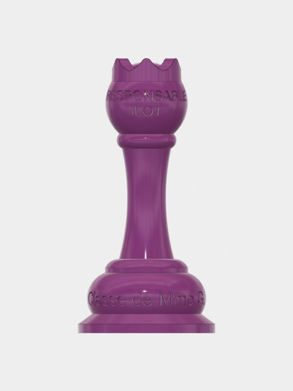 Pion